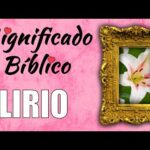 Lirio violeta: Descubre la belleza y significado de esta flor